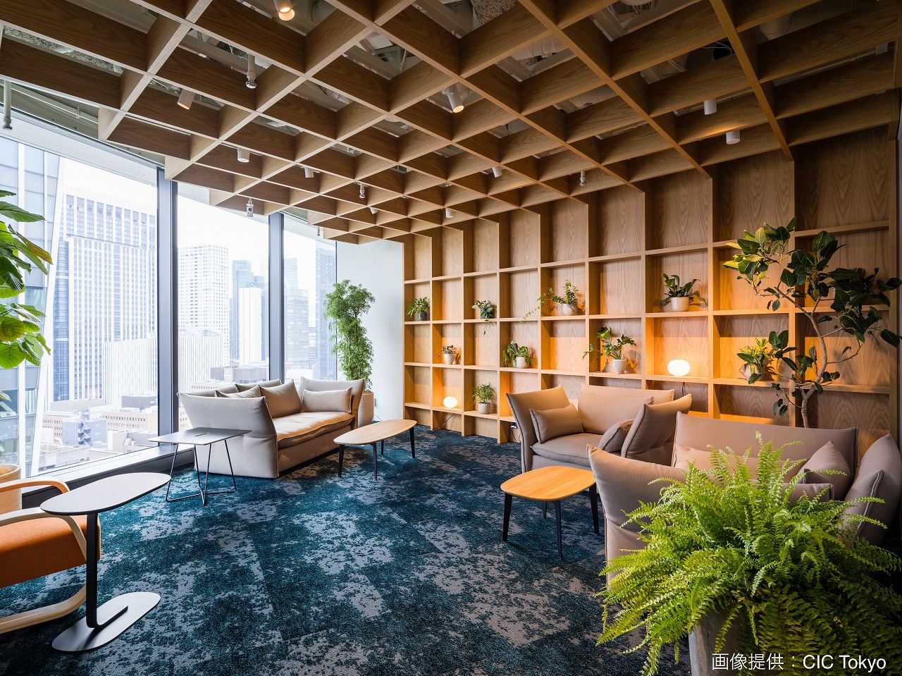 Shared Area: Living Room. Relax on the sofa in the lush greenery living room.