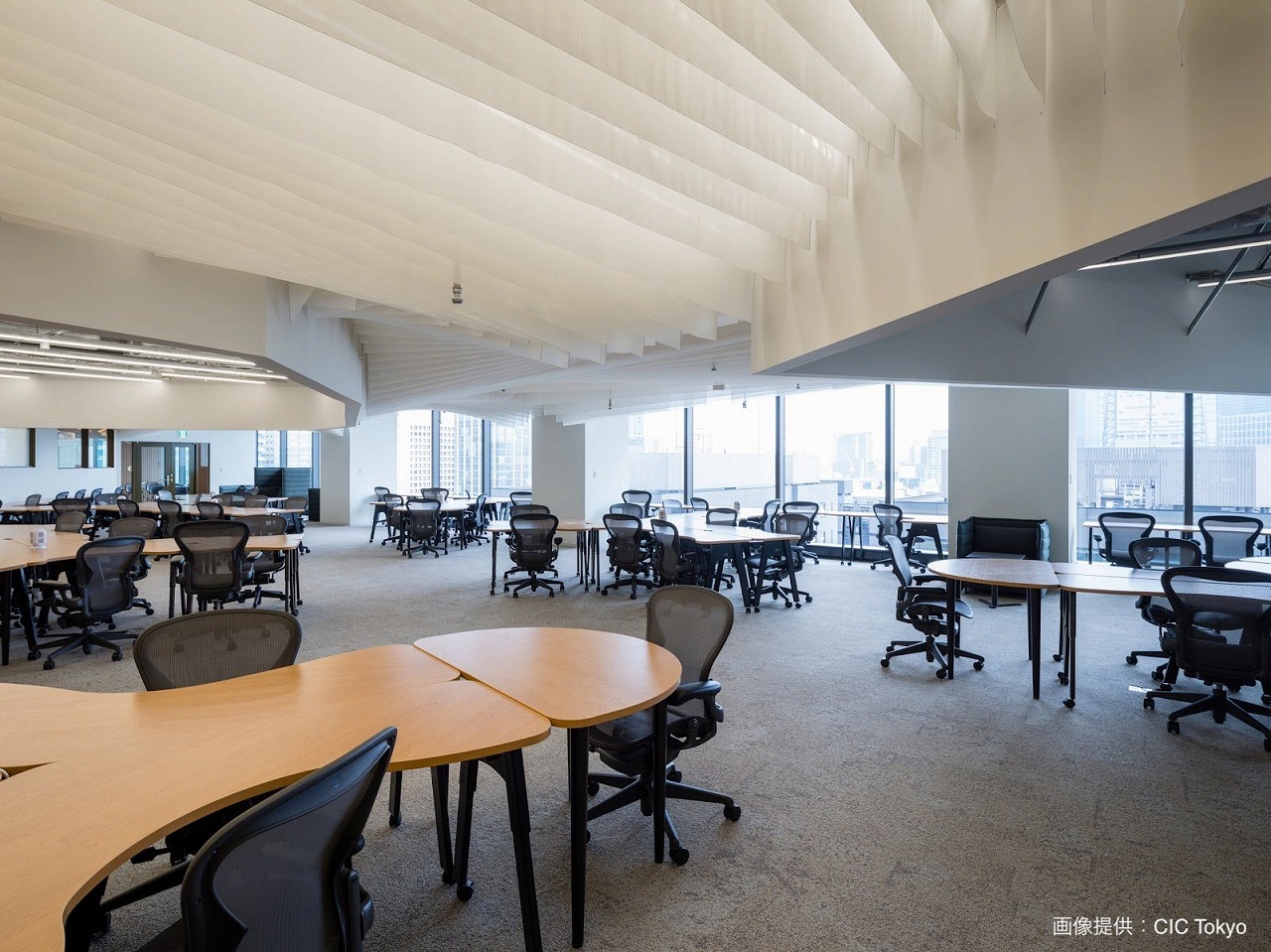 Shared area: Coworking space. Fully equipped and comfortable office environment.
